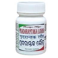 PRADARANTAKA LOUHA